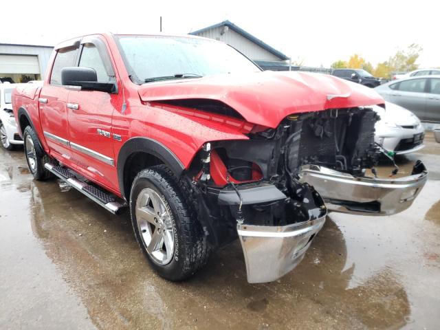 DODGE RAM 1500 2009 with VIN 1D3HV13T19J513756 - Photo from auction