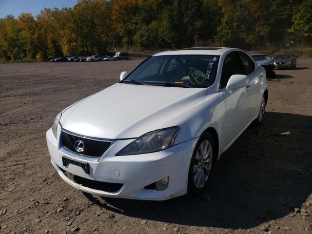 Photo 2 from auction – 2008 LEXUS IS 250 with VIN JTHCK262385019375