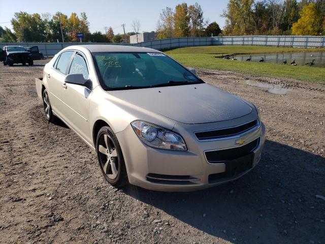 CHEVROLET MALIBU 1LT 2011 with VIN 1G1ZC5EU4BF136325 - Photo from auction