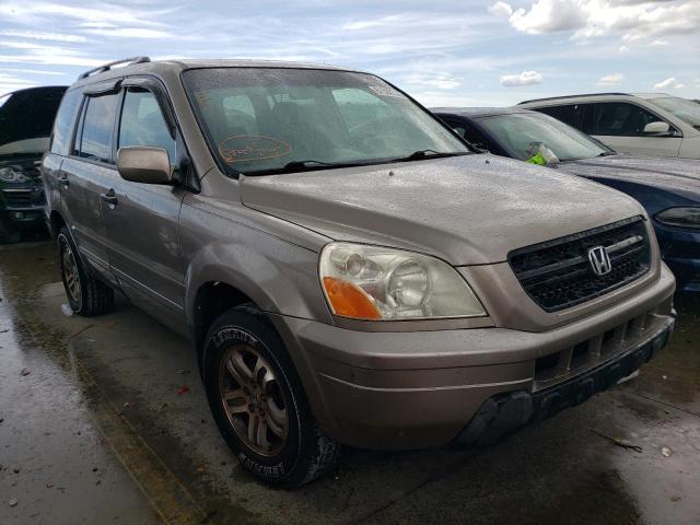 HONDA PILOT EXL 2004 with VIN 2HKYF18584H594966 - Photo from auction