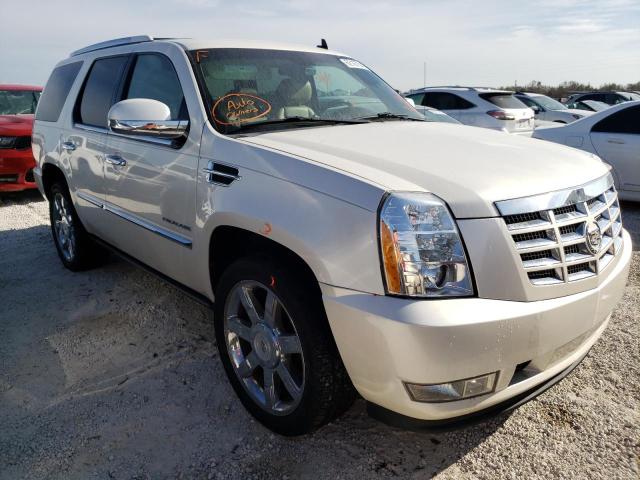 CADILLAC ESCALADE P 2011 with VIN 1GYS4CEF9BR400501 - Photo from auction