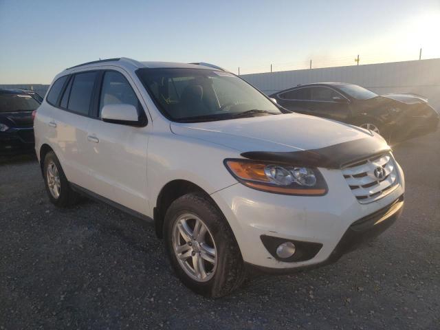 HYUNDAI SANTA FE G 2010 with VIN 5NMSGDAG1AH402540 - Photo from auction
