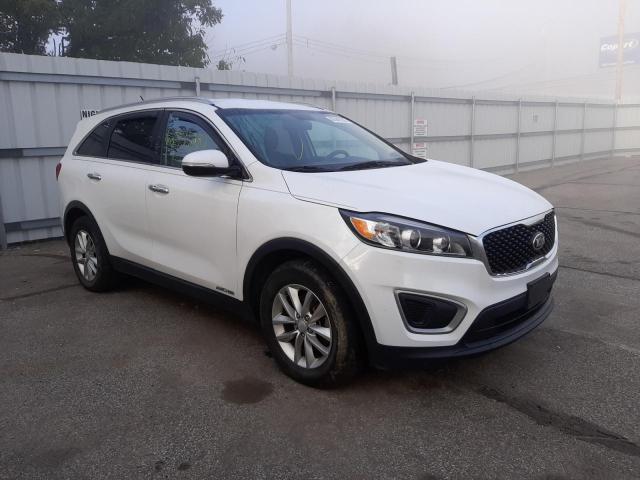Photo 1 from auction – 2016 KIA SORENTO LX with VIN 5XYPGDA55GG150363