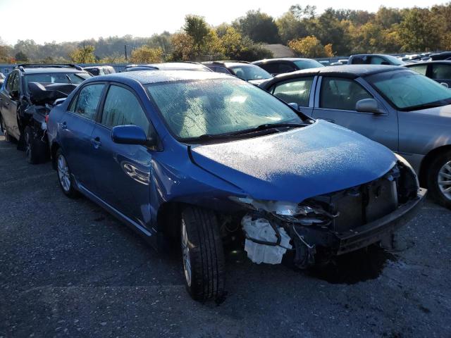 TOYOTA COROLLA BA 2010 with VIN 2T1BU4EE7AC510846 - Photo from auction