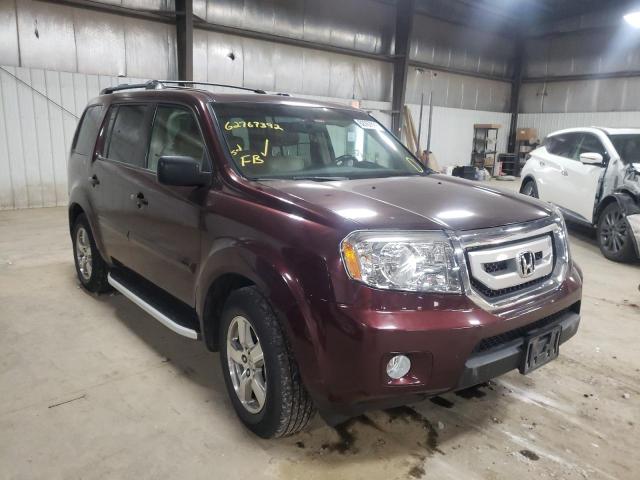 HONDA PILOT EXL 2009 with VIN 5FNYF485X9B045888 - Photo from auction