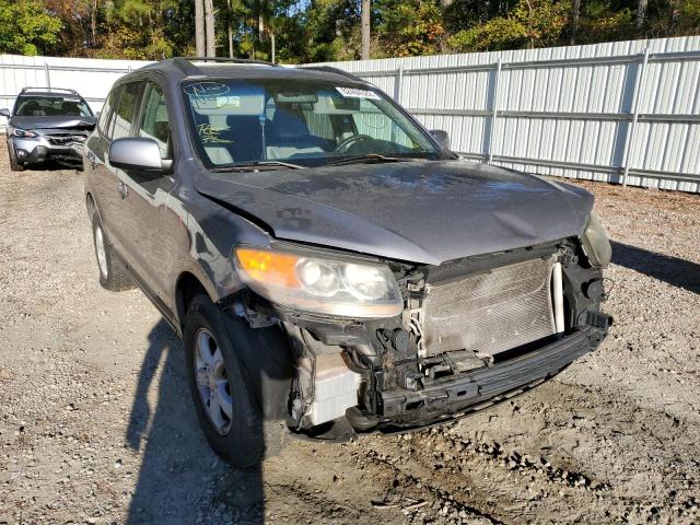 HYUNDAI SANTA FE G 2007 with VIN 5NMSG13D37H048644 - Photo from auction