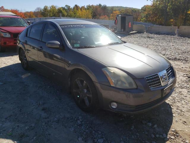NISSAN MAXIMA SE 2006 with VIN 1N4BA41E46C823549 - Photo from auction