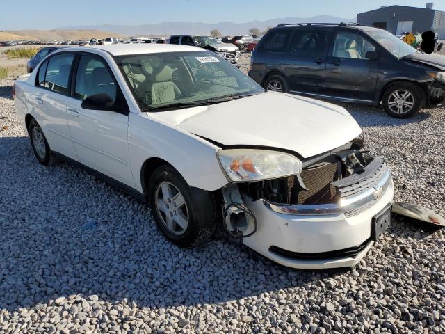 CHEVROLET MALIBU LS 2005 with VIN 1G1ZT52815F176406 - Photo from auction