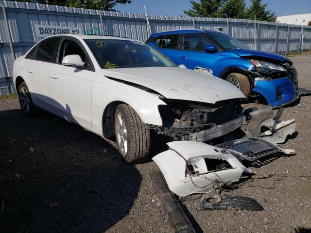 Photo 1 from auction – 2009 AUDI A4 2.0T QU with VIN WAULF78K89N029074