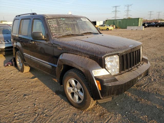 JEEP LIBERTY SP 2011 with VIN 1J4PN2GK9BW540041 - Photo from auction