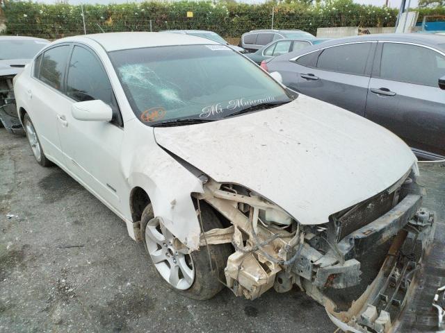 NISSAN ALTIMA HYB 2007 with VIN 1N4CL21E67C197331 - Photo from auction