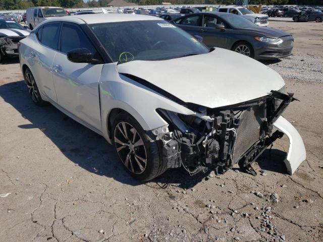 NISSAN MAXIMA 3.5 2017 with VIN 1N4AA6AP0HC360286 - Photo from auction