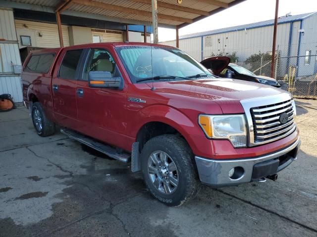 Photo 1 from auction – 2010 FORD F150 SUPER with VIN 1FTFW1EV0AFD48267