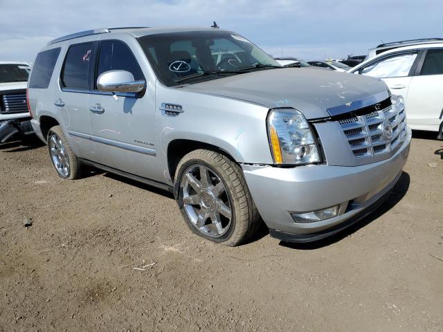 CADILLAC ESCALADE P 2011 with VIN 1GYS4CEF3BR117544 - Photo from auction