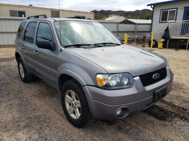 FORD ESCAPE HEV 2007 with VIN 1FMCU59H67KA96721 - Photo from auction