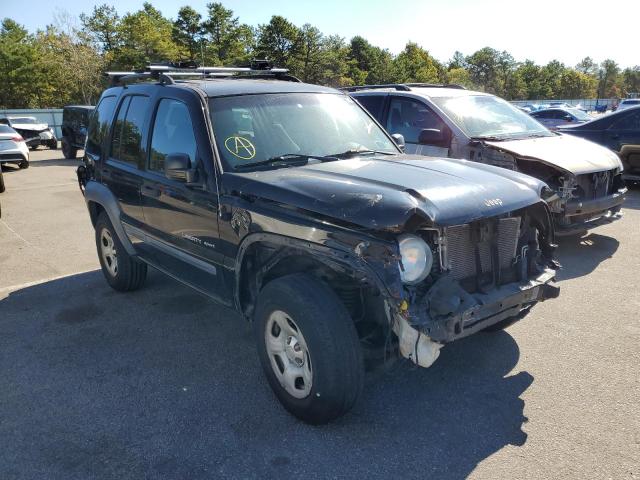 JEEP LIBERTY 2003 with VIN 1J4GL48K53W661263 - Photo from auction
