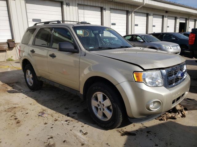 FORD ESCAPE XLT 2011 with VIN 1FMCU0DG9BKB96810 - Photo from auction