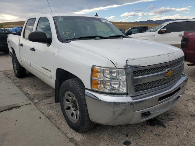 CHEVROLET SILVERADO 2013 with VIN 3GCPKREA9DG322507 - Photo from auction