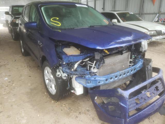 FORD ESCAPE SE 2016 with VIN 1FMCU0G99GUA54949 - Photo from auction