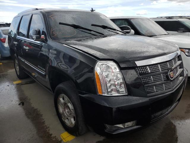 CADILLAC ESCALADE P 2013 with VIN 1GYS4CEF6DR347131 - Photo from auction