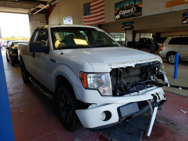 FORD F150 SUPER 2013 with VIN 1FTFX1EF5DFA20904 - Photo from auction