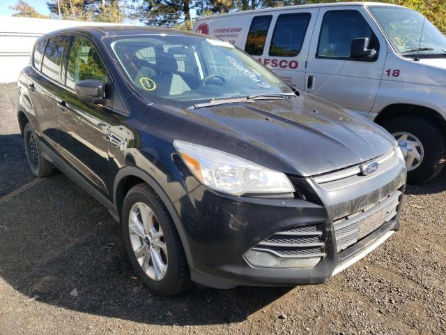 FORD ESCAPE SE 2014 with VIN 1FMCU9G93EUA15064 - Photo from auction