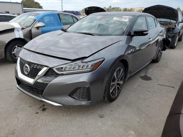 NISSAN MAXIMA SV 2022 with VIN 1N4AA6CV6NC503345 - Photo from auction