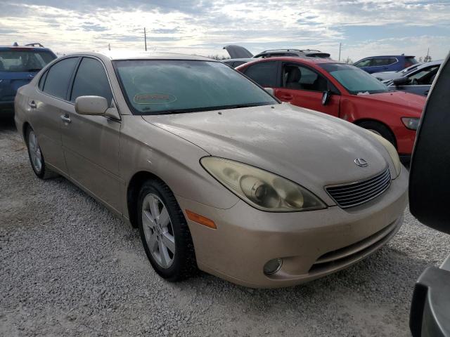 LEXUS ES 330 2005 with VIN JTHBA30GX55085720 - Photo from auction