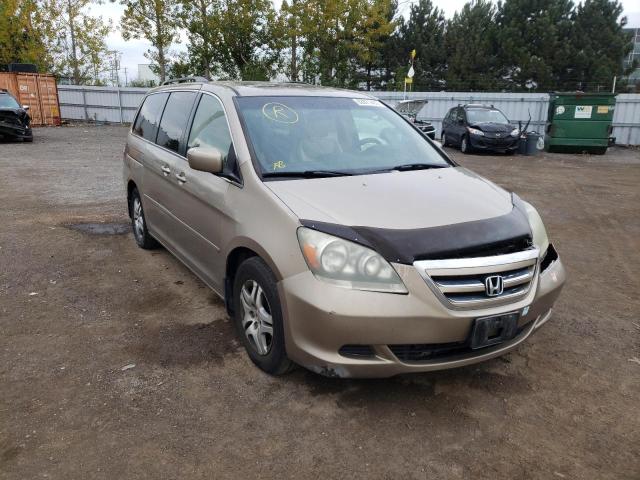 HONDA ODYSSEY EX 2005 with VIN 5FNRL38715B505247 - Photo from auction