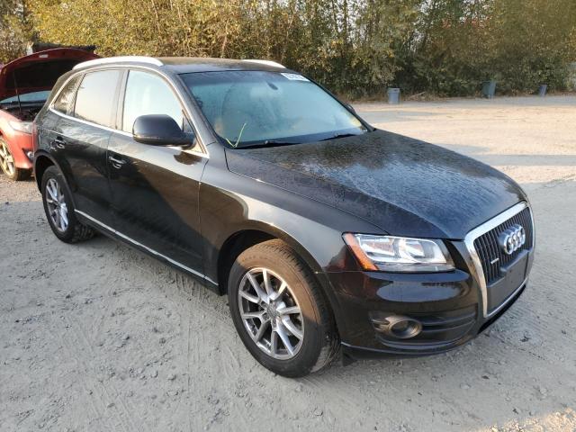 AUDI Q5 PREMIUM 2011 with VIN WA1CFAFPXBA081232 - Photo from auction