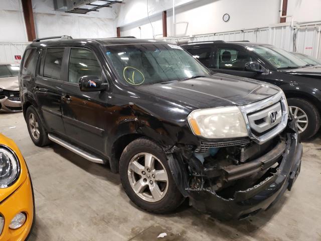 HONDA PILOT EXL 2009 with VIN 5FNYF48669B006787 - Photo from auction