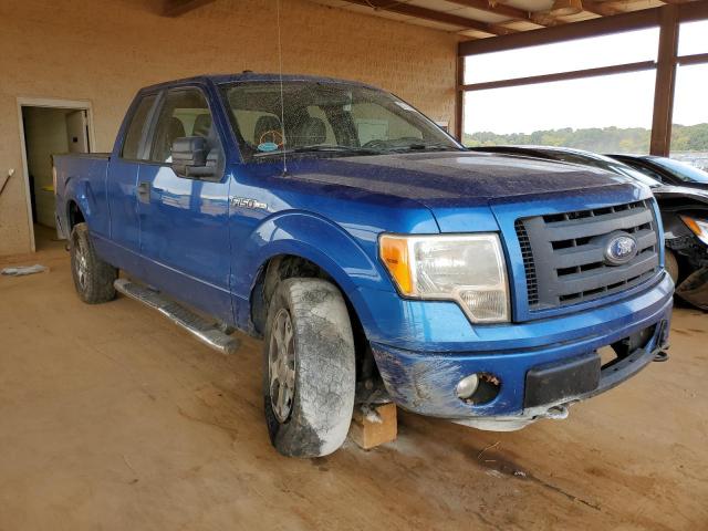 FORD F150 SUPER 2010 with VIN 1FTEX1E84AFA13757 - Photo from auction