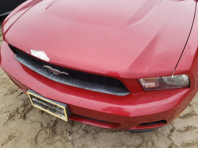 Photo 9 from auction – 2011 FORD MUSTANG with VIN 1ZVBP8EM6B5159350