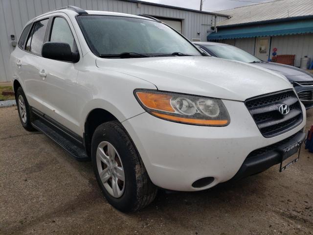 HYUNDAI SANTA FE G 2009 with VIN 5NMSG73D69H259181 - Photo from auction