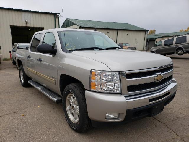 CHEVROLET SILVERADO 2009 with VIN 3GCEK23M09G248932 - Photo from auction