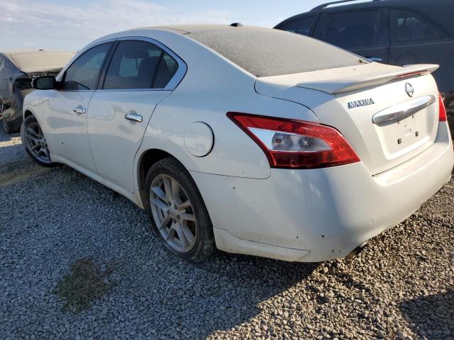 Photo 3 from auction – 2010 NISSAN MAXIMA S/S with VIN 1N4AA5AP3AC831296