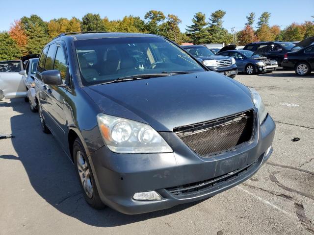 HONDA ODYSSEY EX 2005 with VIN 5FNRL38675B049116 - Photo from auction