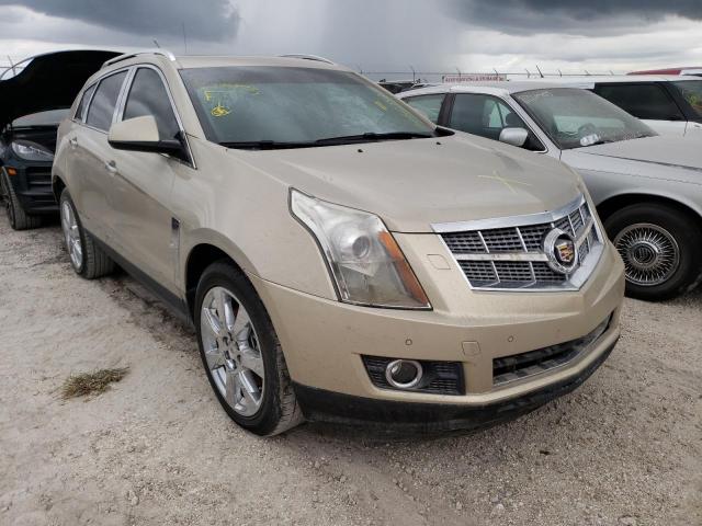 CADILLAC SRX PERFOR 2011 with VIN 3GYFNBEYXBS510335 - Photo from auction