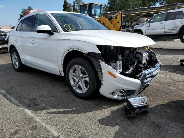 AUDI Q5 PREMIUM 2019 with VIN WA1ANAFY2K2099477 - Photo from auction