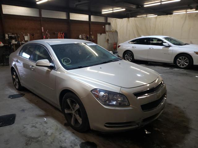 CHEVROLET MALIBU 2011 with VIN 1G1ZC5E11BF202772 - Photo from auction