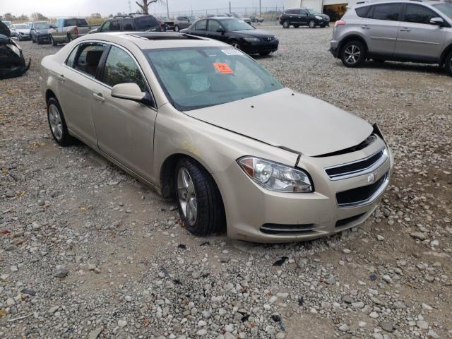 CHEVROLET MALIBU 2LT 2010 with VIN 1G1ZD5EBXAF296154 - Photo from auction