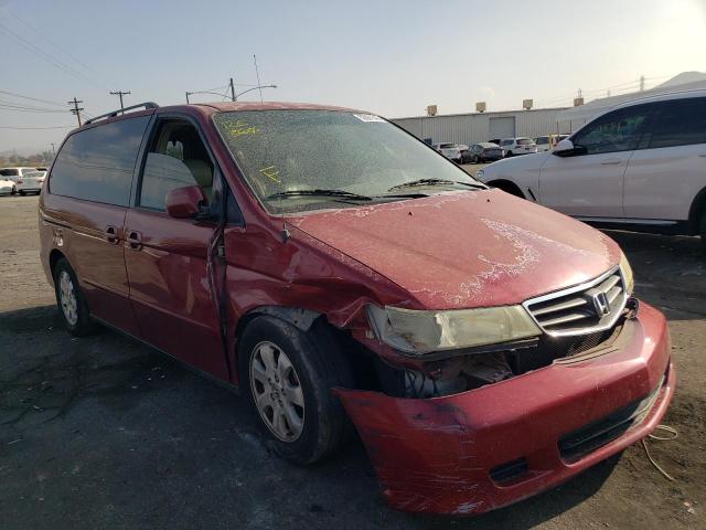 HONDA ODYSSEY EX 2004 with VIN 5FNRL18924B062952 - Photo from auction