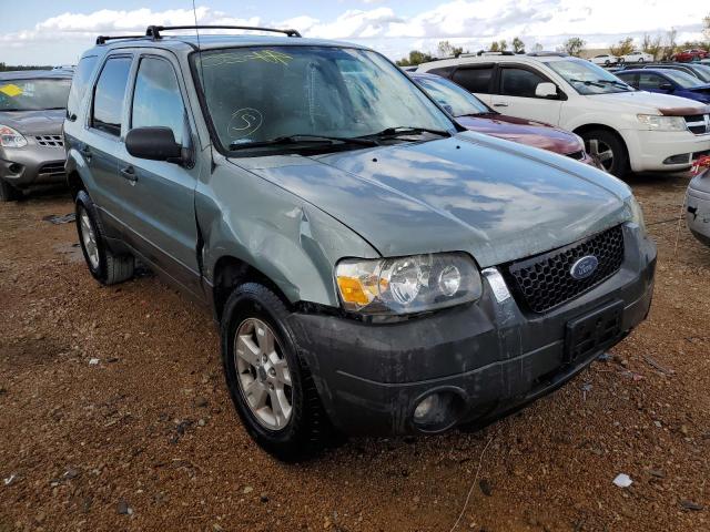 FORD ESCAPE XLT 2006 with VIN 1FMYU03136KD19025 - Photo from auction