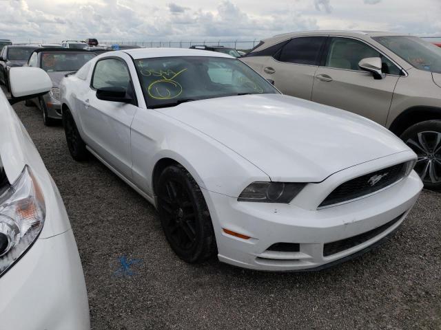 FORD MUSTANG 2014 with VIN 1ZVBP8AM4E5277018 - Photo from auction