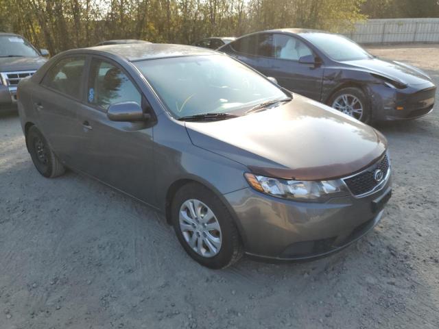 KIA FORTE EX 2013 with VIN KNAFU4A22D5698154 - Photo from auction