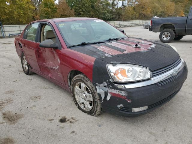 CHEVROLET MALIBU LT 2004 with VIN 1G1ZU54814F184000 - Photo from auction