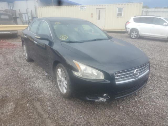 NISSAN MAXIMA S 2011 with VIN 1N4AA5APXBC864135 - Photo from auction