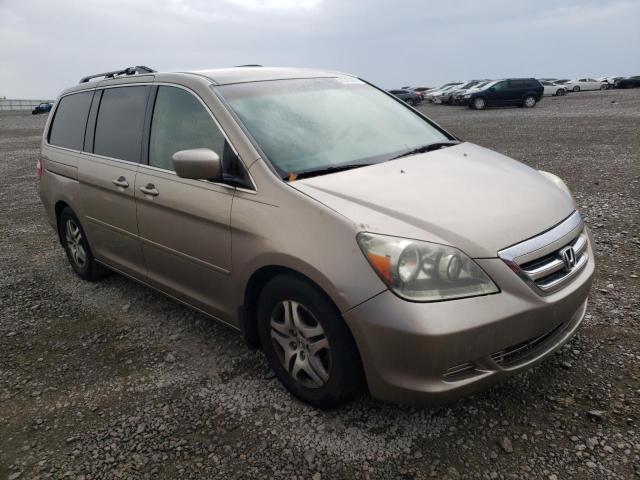 HONDA ODYSSEY EX 2005 with VIN 5FNRL38485B119415 - Photo from auction