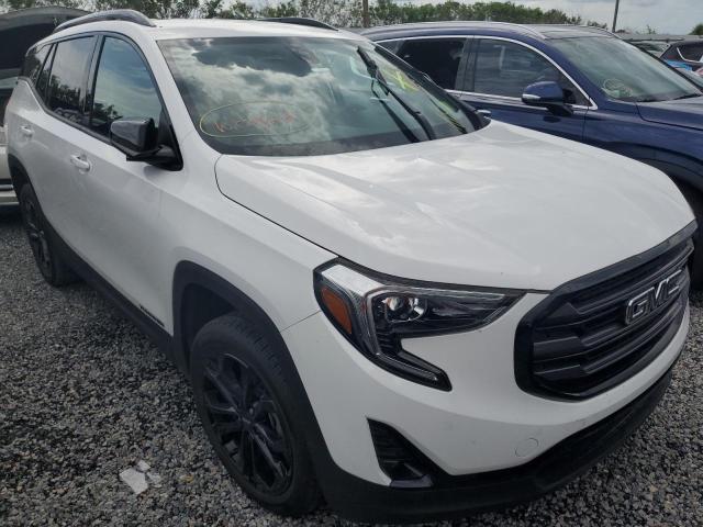 GMC TERRAIN SL 2021 with VIN 3GKALVEV9ML334568 - Photo from auction