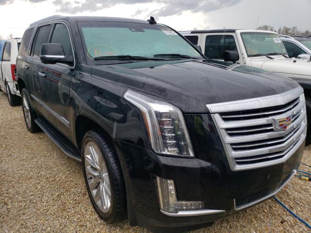 CADILLAC ESCALADE P 2016 with VIN 1GYS4DKJ4GR266227 - Photo from auction